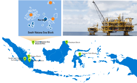 Medco Mulls Applying CTD In South Natuna Sea Block B PSC